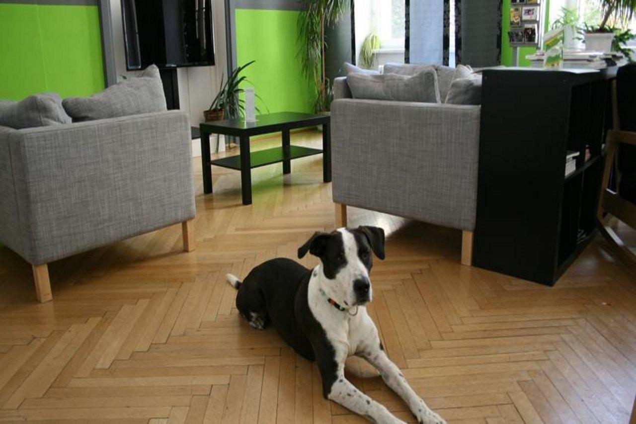 Hostel & Guesthouse Kaiser 23 Vienna Luaran gambar